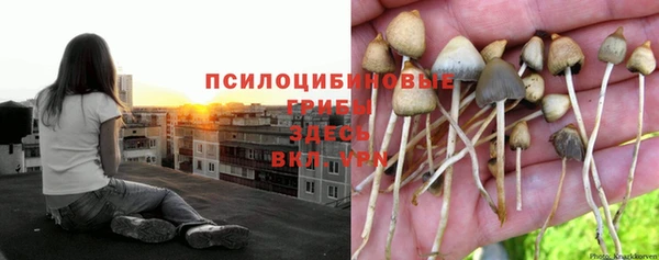 дмт Каменногорск