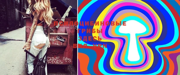 дмт Каменногорск