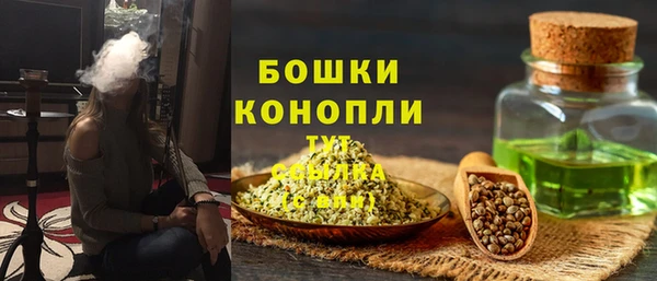 дмт Каменногорск