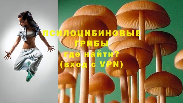 гашишное масло Каменка